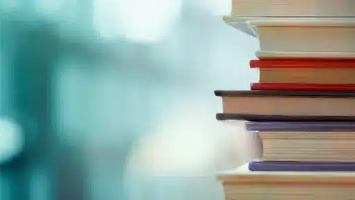 pi2025 07
